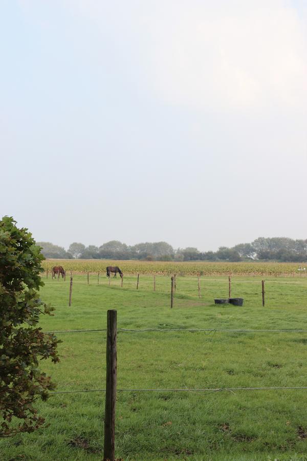 Gastenverblijven boerderij Het Driespan Middelburg Buitenkant foto