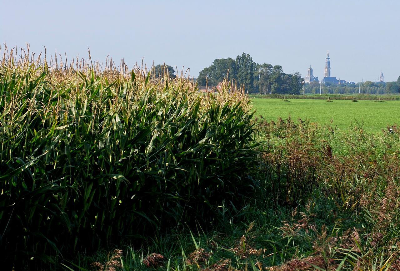 Gastenverblijven boerderij Het Driespan Middelburg Buitenkant foto